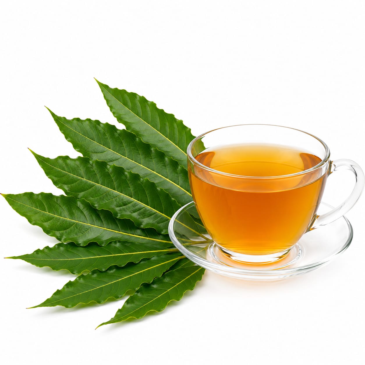 srivhari ashok leaf tea (100gm)