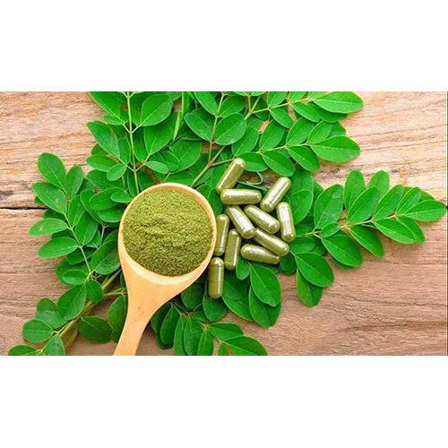 srihagari morniga leaf powder 100 gm