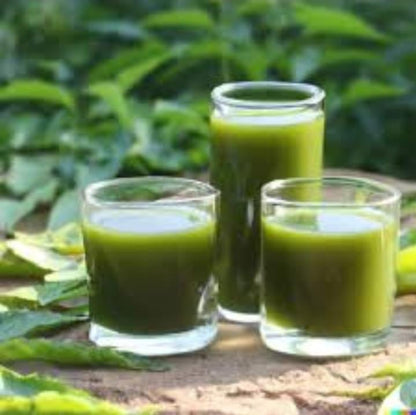 srihari freshly prepared Peepal Neem leaf juice for kidney health