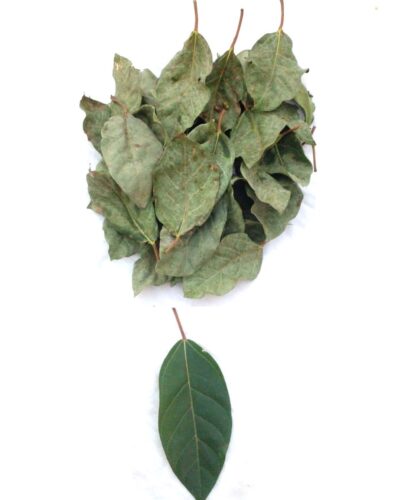 srihari dry  jamun leaf 100 gm manage blood sugar level