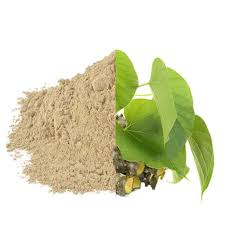 srihari giloy powder 100gm