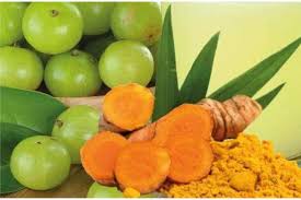 srihari amla haldi powder 100 gm