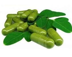 srihari moringa powder capsule 90