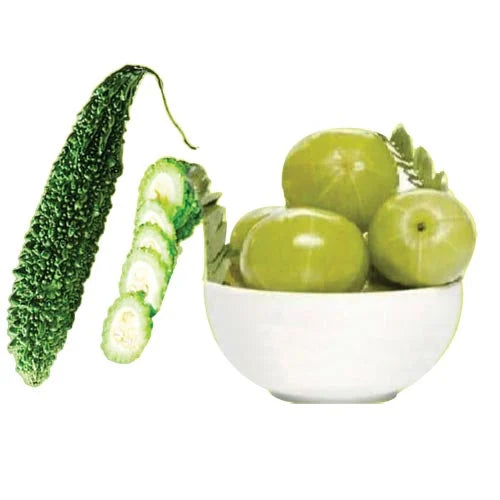 srihari karela amla powder 100 gm