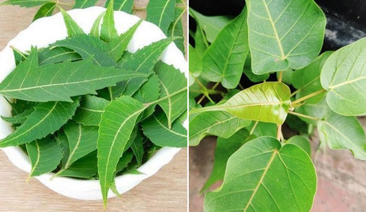 sri peepal neem powder 150gm